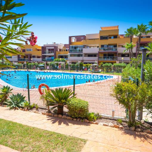 Apartamento - Venta - Playa Flamenca - El Bosque
