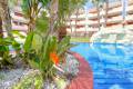 Resale - Wohnung - Playa Flamenca - El Rincon