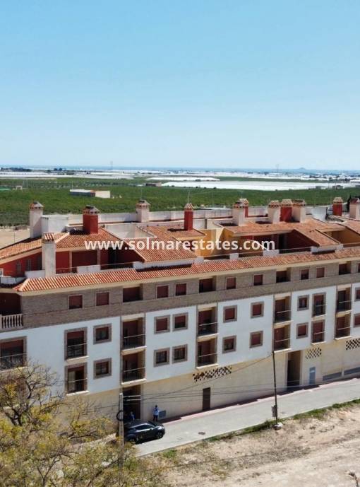 Apartamento - Nueva construcción  - Avileses - pueblo