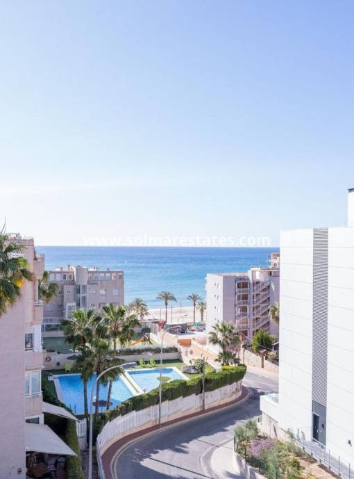 Apartamento - Nueva construcción  - El Campello - Muchavista