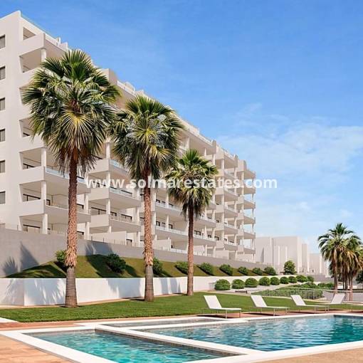 Apartamento - Nueva construcción  - San Miguel De Salinas - Pueblo 9