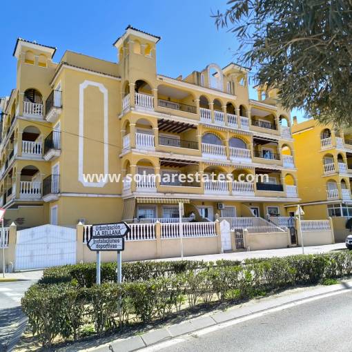 Apartamento - Venta - Algorfa - R-51664