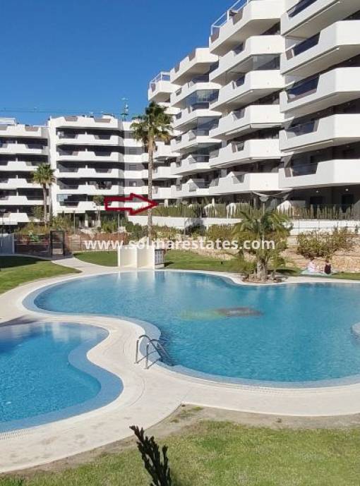 Apartamento - Venta - Arenales del Sol - Arenales del Sol