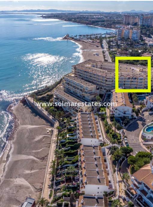 Apartamento - Venta - Cabo Roig - Aguamarina