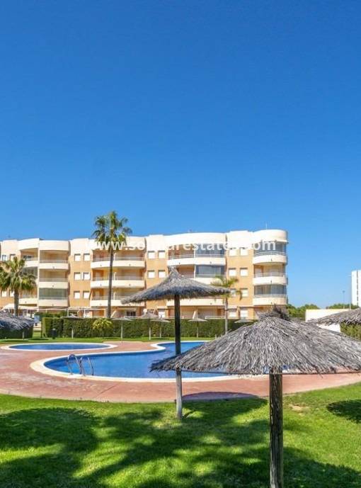 Apartamento - Venta - Campoamor - Dehesa De Campoamor