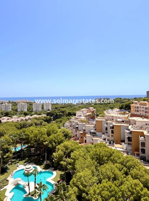 Apartamento - Venta - Campoamor - Dehesa De Campoamor