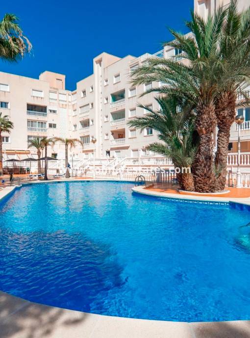 Apartamento - Venta - Guardamar Del Segura - El Eden