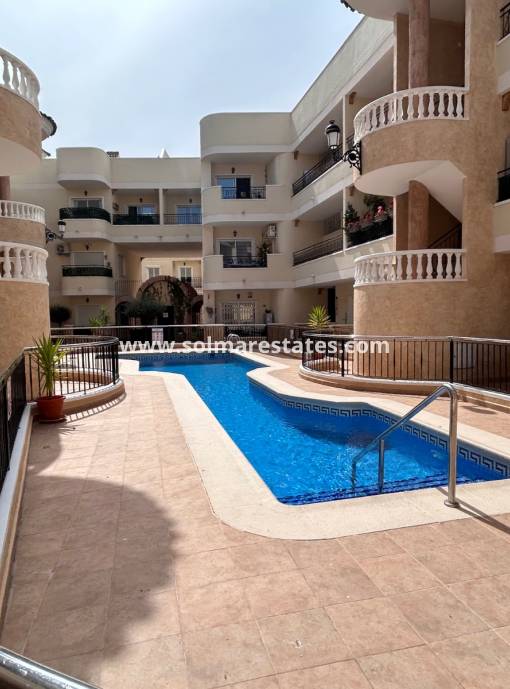 Apartamento - Venta - Jacarilla - Jacarilla