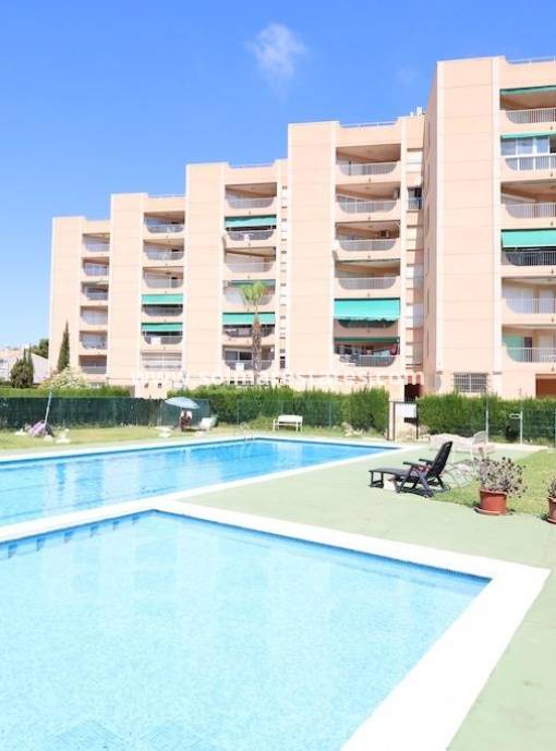 Apartamento - Venta - La Zenia - Beachside La Zenia