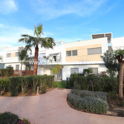 Apartamento - Venta - Los Montesinos - Entre Naranjos / Vistabella Golf