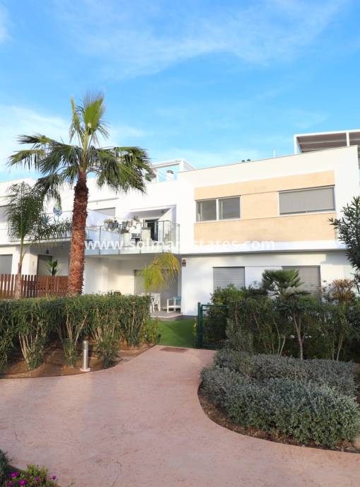 Apartamento - Venta - Los Montesinos - Entre Naranjos / Vistabella Golf