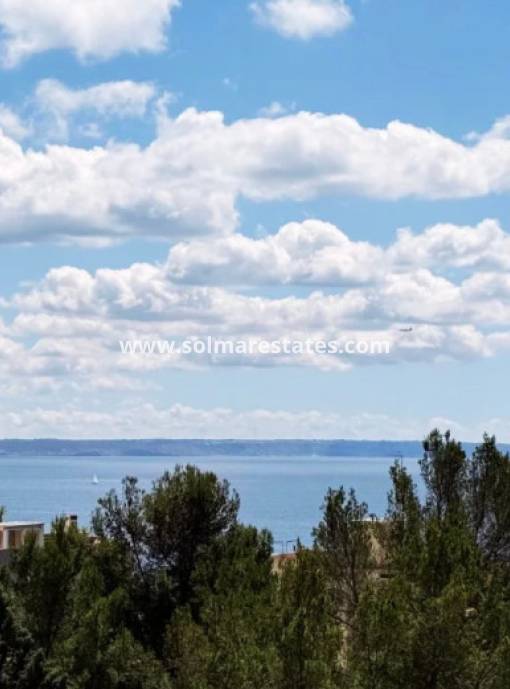 Apartamento - Venta - Palma - Sant Agustí