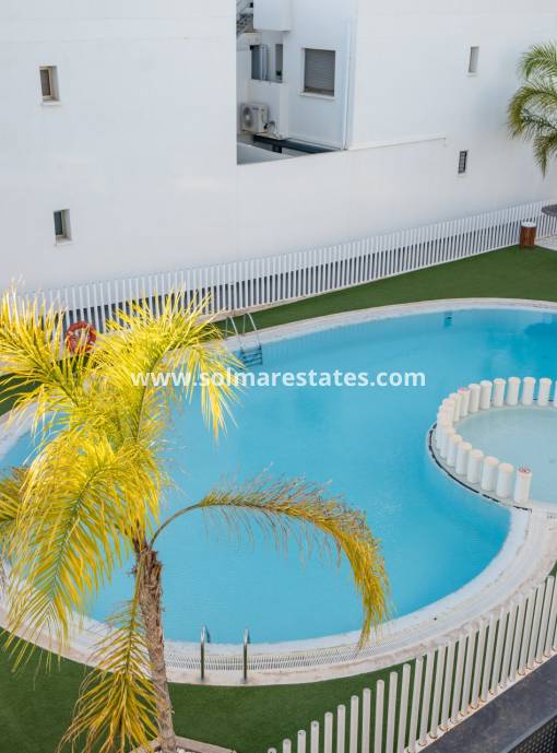 Apartamento - Venta - Pilar De La Horadada - Torre de la Horadada