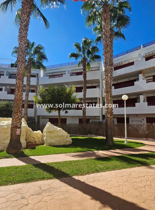 Apartamento - Venta - Playa Flamenca - El Rincon