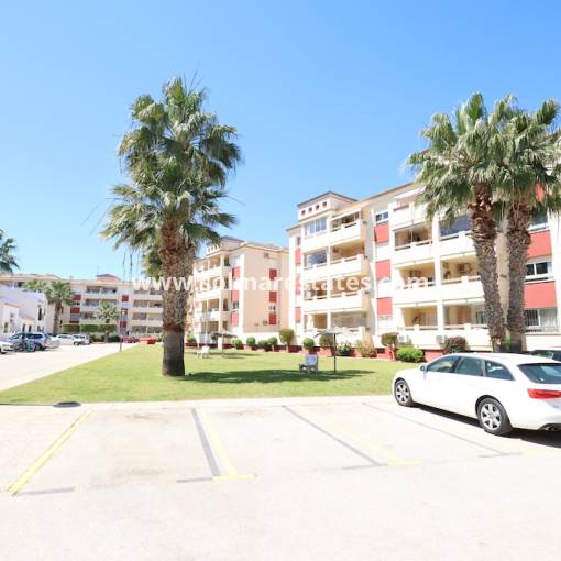 Apartamento - Venta - Playa Flamenca - Jumilla