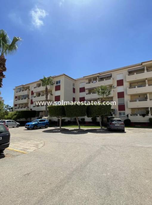 Apartamento - Venta - Playa Flamenca - Jumilla