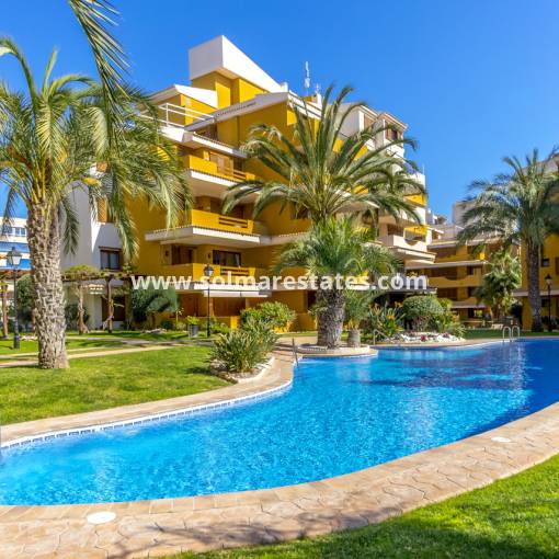 Apartamento - Venta - Punta Prima - La Entrada