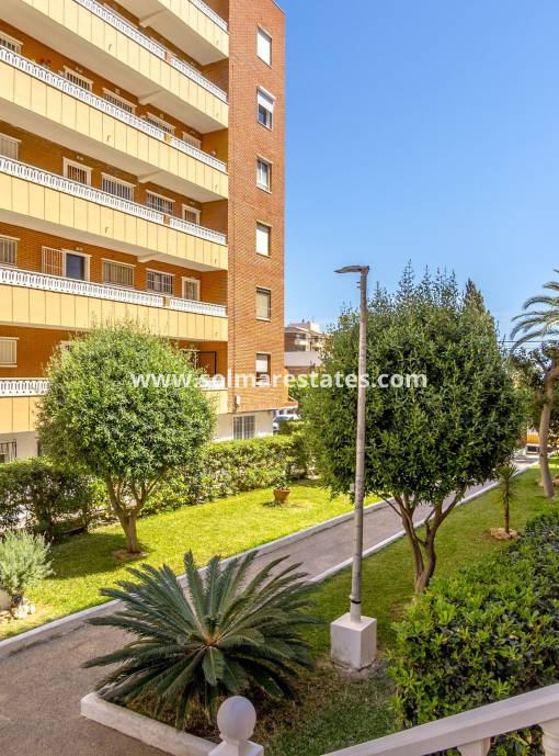 Apartamento - Venta - Punta Prima - Punta Prima