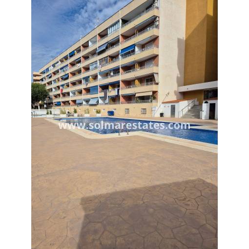 Apartamento - Venta - Punta Prima - Punta Prima