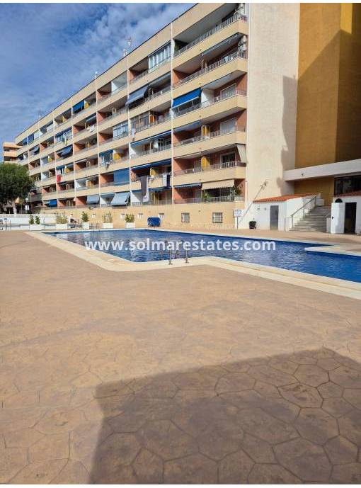 Apartamento - Venta - Punta Prima - Punta Prima