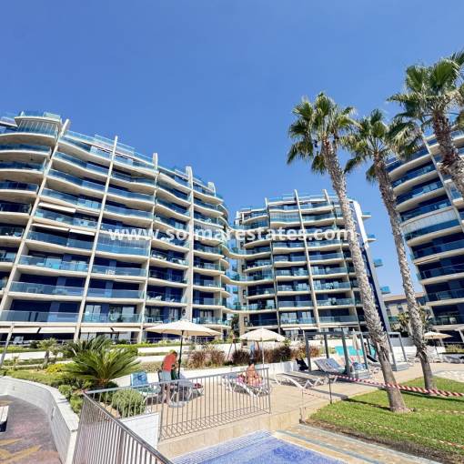 Apartamento - Venta - Punta Prima - R-93413