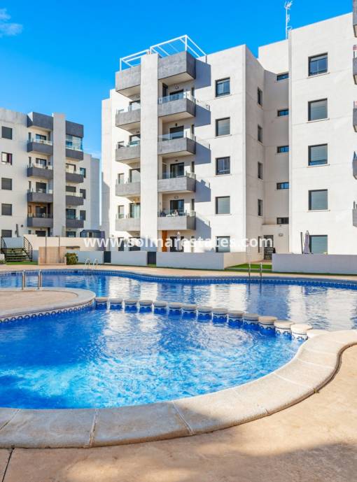 Apartamento - Venta - San Miguel De Salinas - San Miguel De Salinas