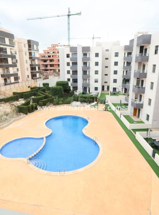 Apartamento - Venta - San Miguel De Salinas - San Miguel De Salinas