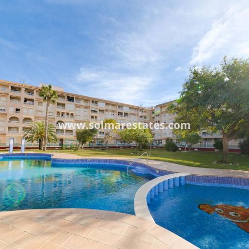 Apartamento - Venta - Torrevieja - Beachside Torrevieja