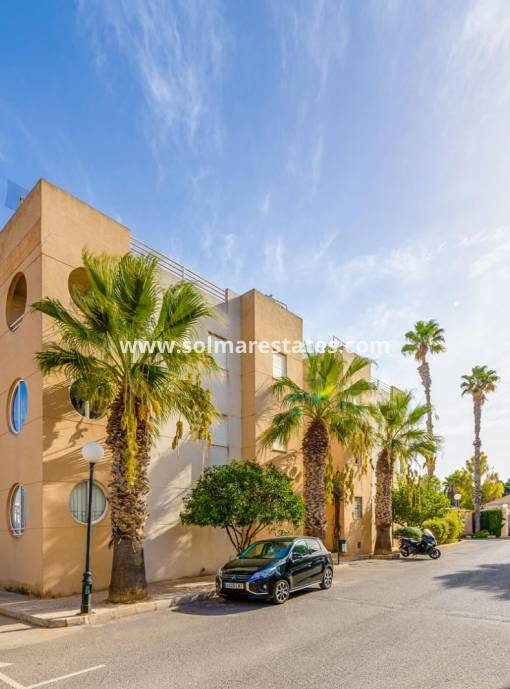 Apartamento - Venta - Torrevieja - San Luis