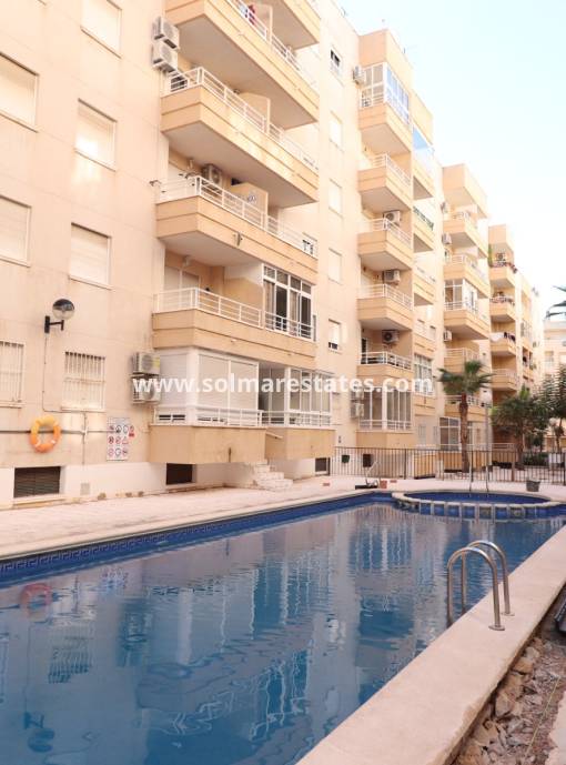 Apartamento - Venta - Torrevieja - Torrevieja - Centre