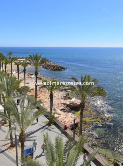 Apartamento - Venta - Torrevieja - Torrevieja