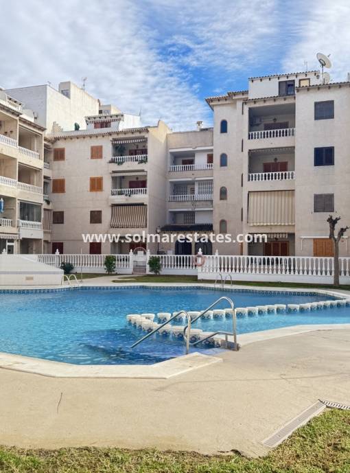 Apartamento - Venta - Torrevieja - Torrevieja