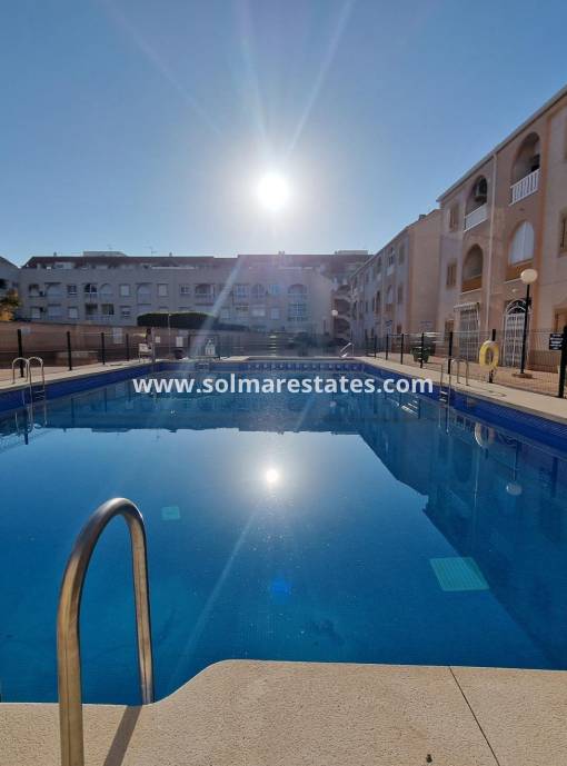 Apartamento - Venta - Torrevieja - Torrevieja