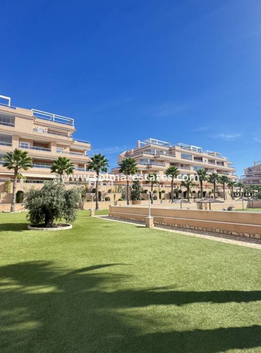 Apartamento - Venta - Villamartin - Los Dolses