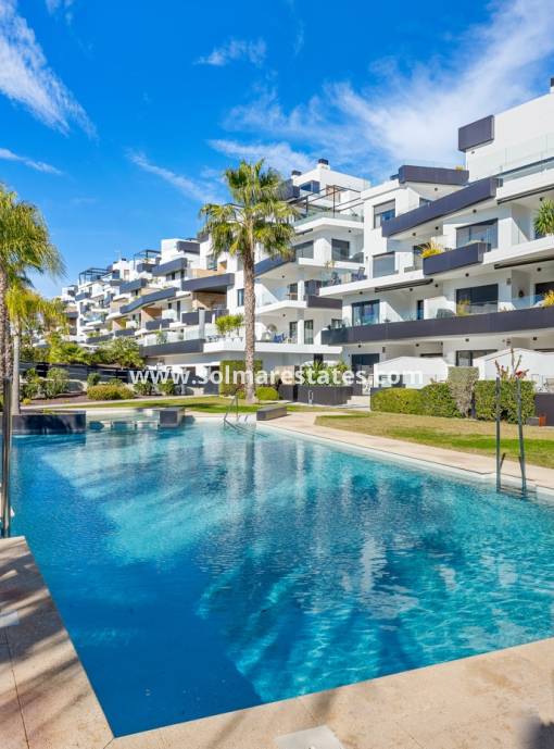 Apartamento - Venta - Villamartin - Los Dolses