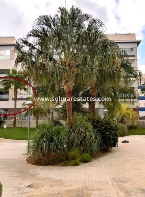 Apartamento - Venta - Villamartin - Los Dolses