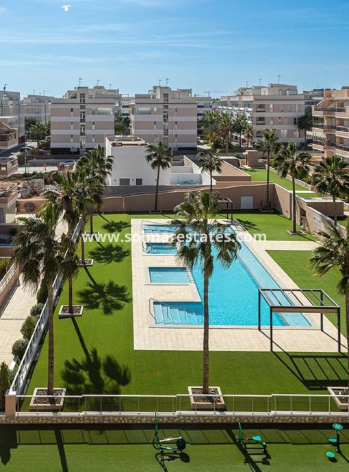 Apartamento - Venta - Villamartin - Los Dolses