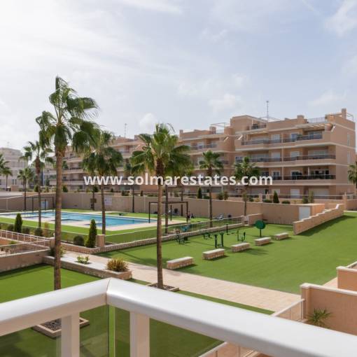 Apartamento - Venta - Villamartin - Los Dolses