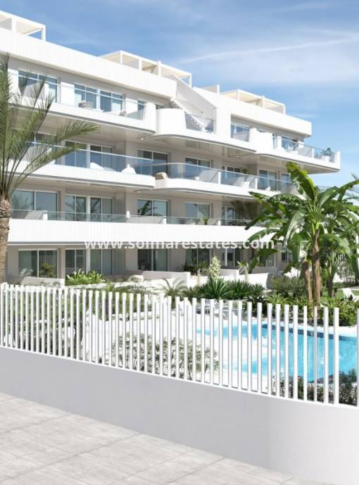 Apartment - New Build - Cabo Roig - Lomas de Cabo Roig