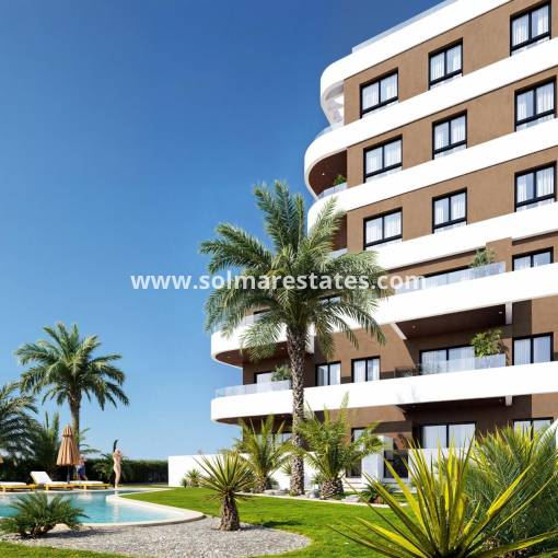 Apartment - New Build - Guardamar Del Segura - Camino del Puerto