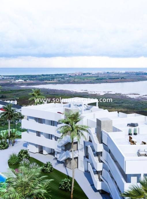 Apartment - New Build - Guardamar Del Segura - El Raso