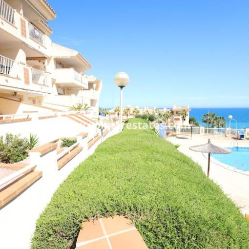 Apartment - Resale - Cabo Roig - R-49644