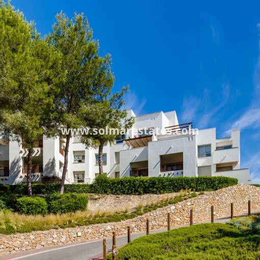 Apartment - Resale - Campoamor - R-16650