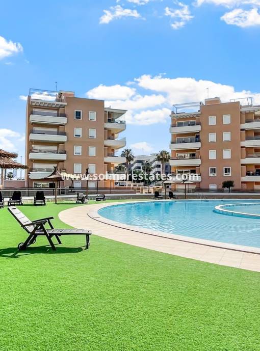 Apartment - Resale - Guardamar Del Segura - El Raso