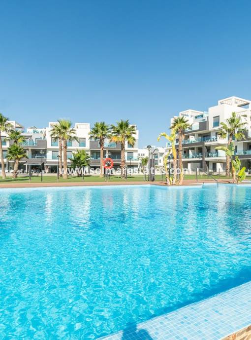 Apartment - Resale - Guardamar Del Segura - El Raso