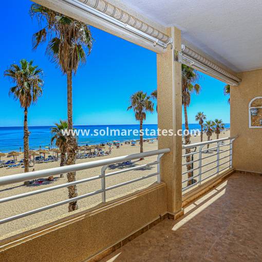 Apartment - Resale - La Mata - La Mata