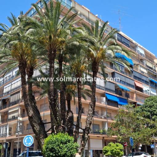 Apartment - Resale - Orihuela - Zona Centro