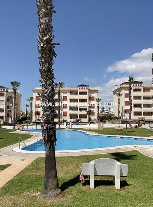 Apartment - Resale - Playa Flamenca - Jumilla