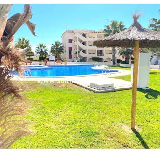 Apartment - Resale - Playa Flamenca - Jumilla