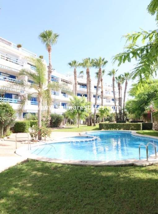 Apartment - Resale - Playa Flamenca - La Calma